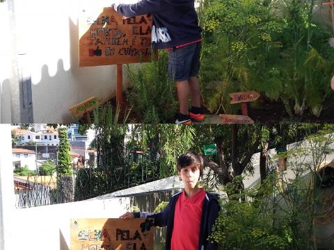 Os alunos fizeram e colocaram uma placa a sensibilizar para manter o espaço da horta limpo.